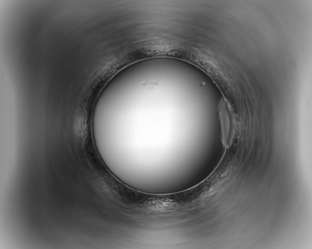 X0000093620642200710151301