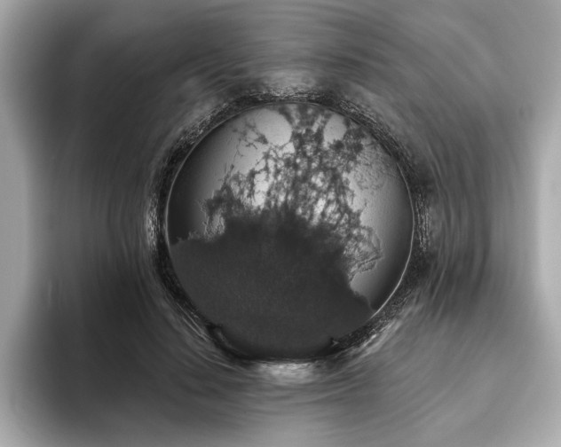 X0000093620644200710151301