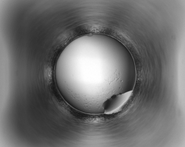 X0000093620646200710151301