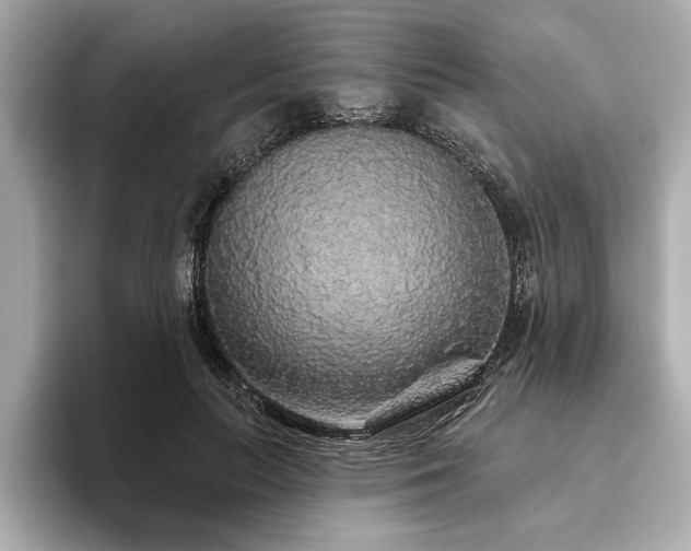 X0000093620647200710151301