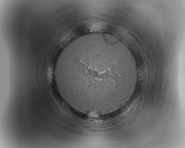 X0000093620648200710151301
