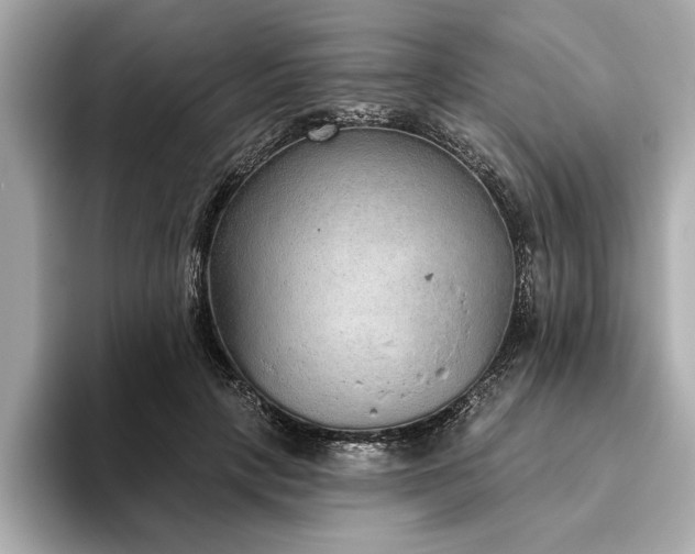 X0000093620649200710151301