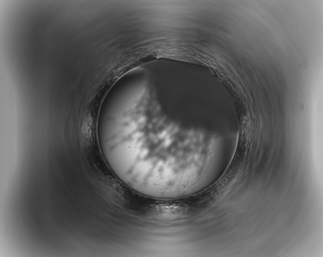 X0000093620650200710151301