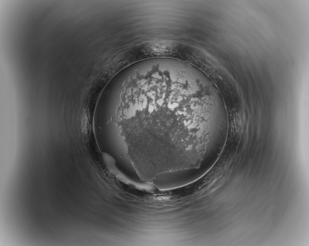 X0000093620651200710151301