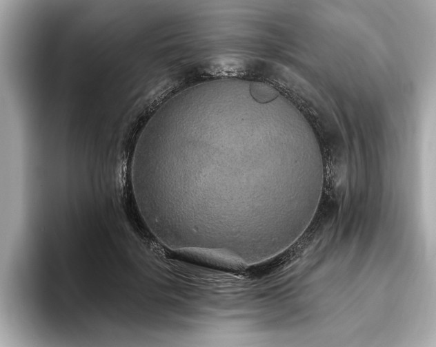 X0000093620652200710151301
