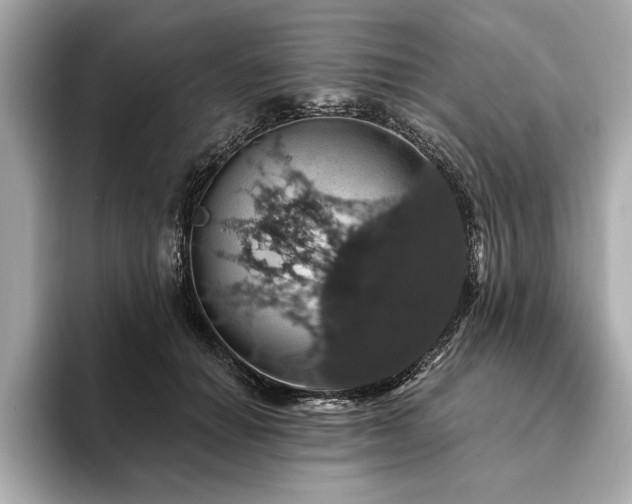 X0000093620654200710151301