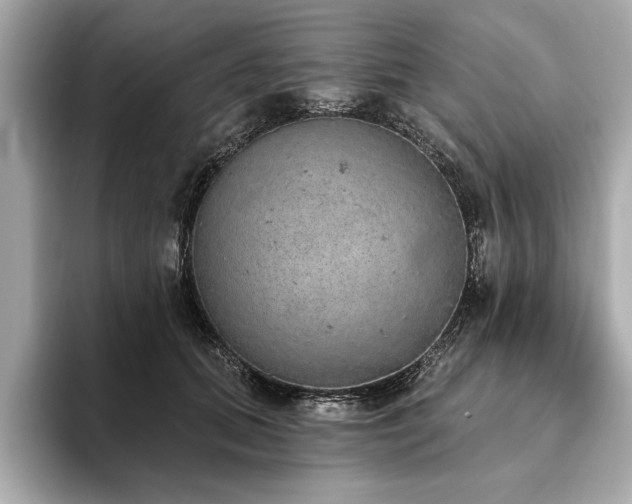 X0000093620655200710151301
