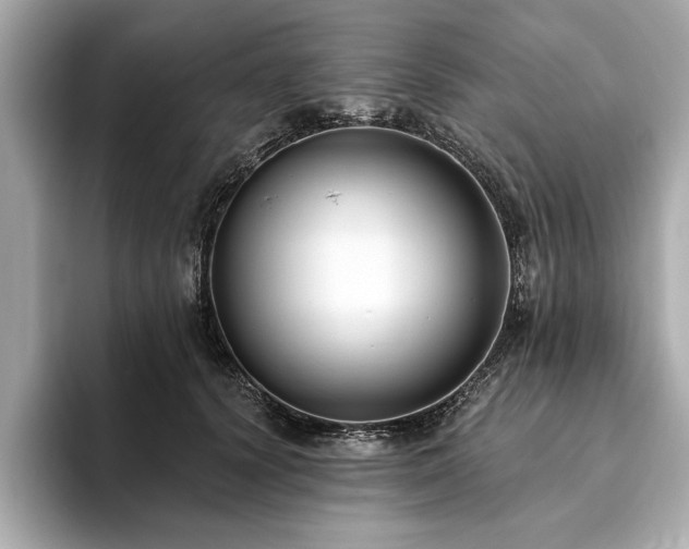 X0000093620656200710151301