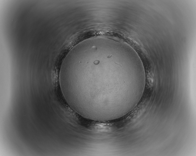 X0000093620657200710151301