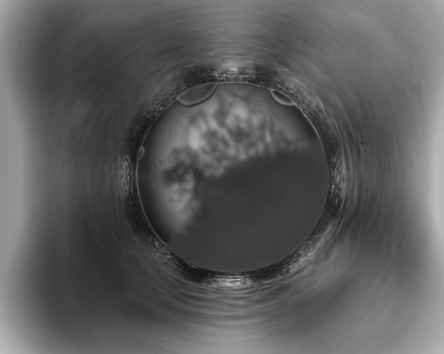 X0000093620659200710151302