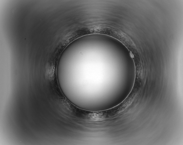 X0000093620660200710151302