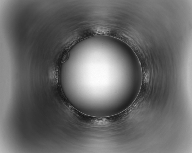 X0000093620666200710151302