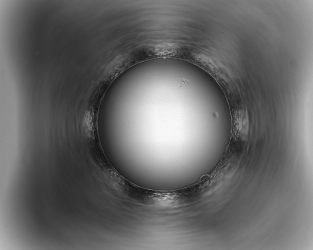 X0000093620667200710151302