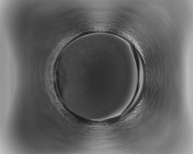 X0000093620673200710151301