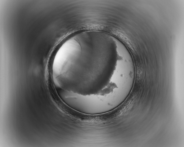 X0000093620674200710151301