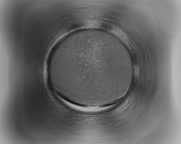 X0000093620676200710151301