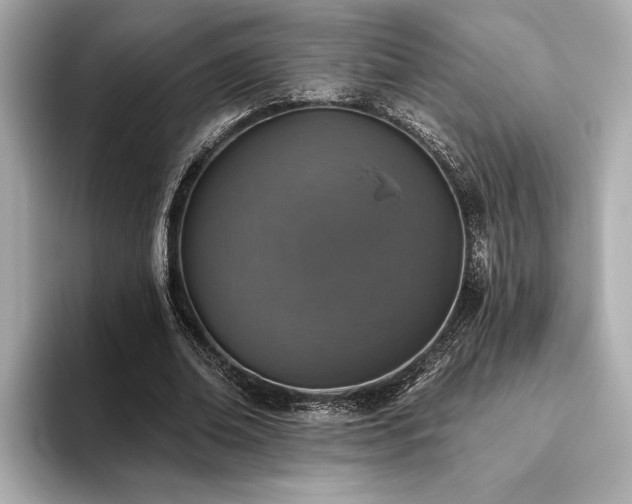 X0000093620678200710151301