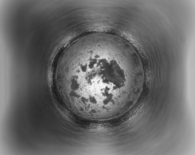 X0000093620679200710151301
