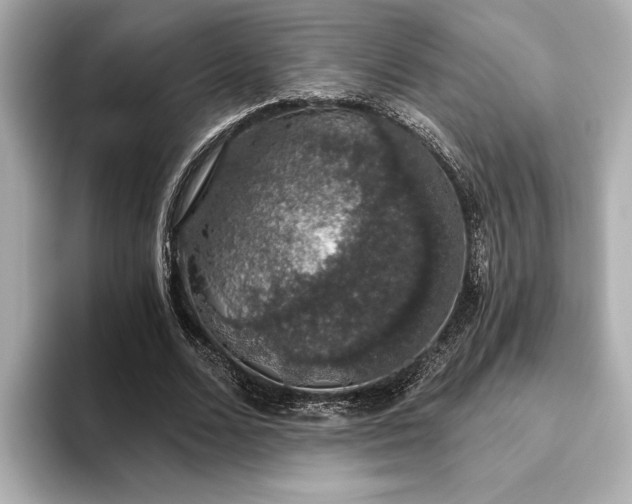 X0000093620680200710151301