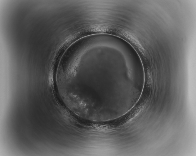 X0000093620681200710151301