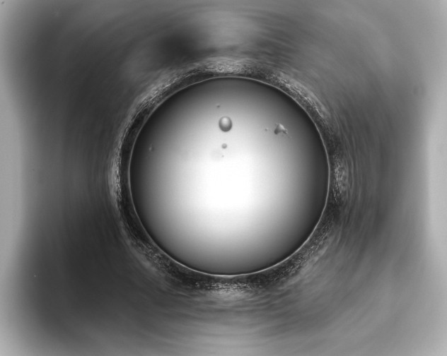 X0000093620682200710151301