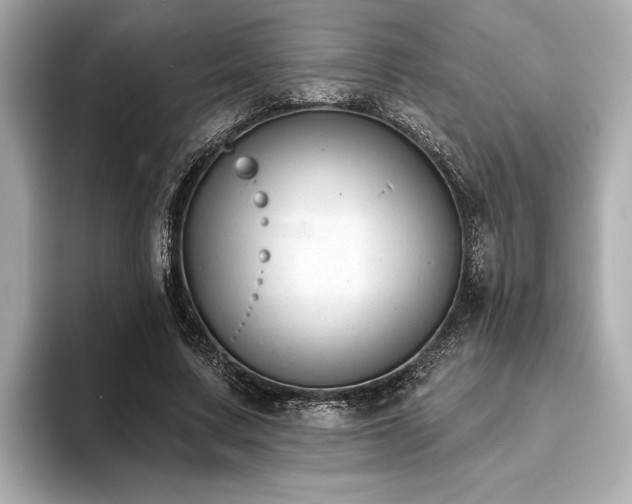 X0000093620683200710151301
