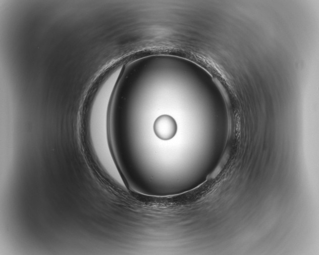 X0000093620684200710151301