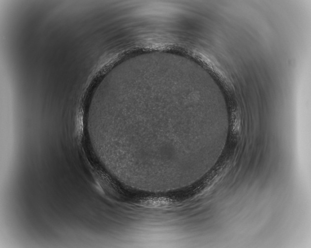 X0000093620685200710151301