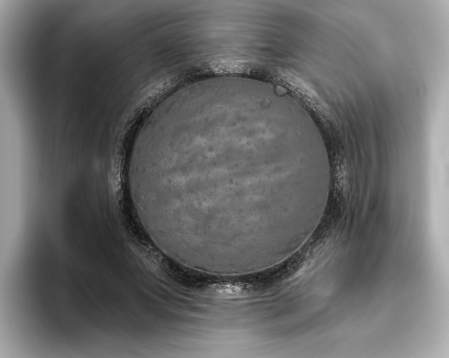 X0000093620687200710151301