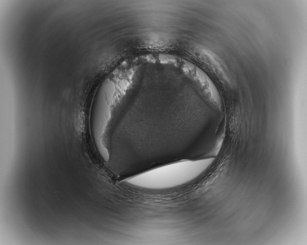 X0000093620689200710151301