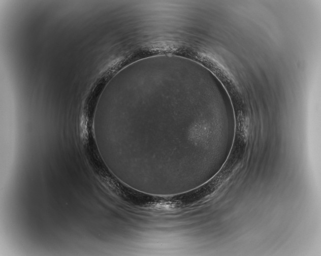 X0000093620692200710151301