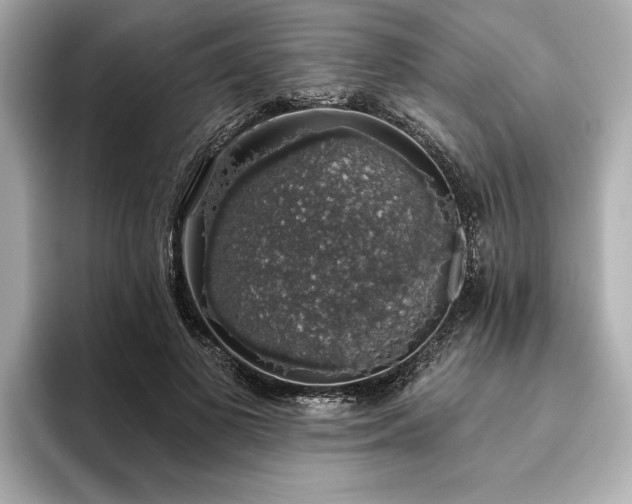 X0000093620693200710151301