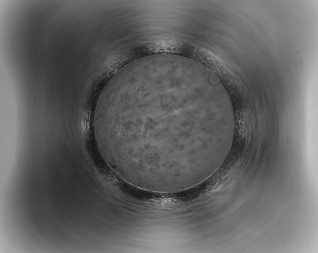 X0000093620695200710151301