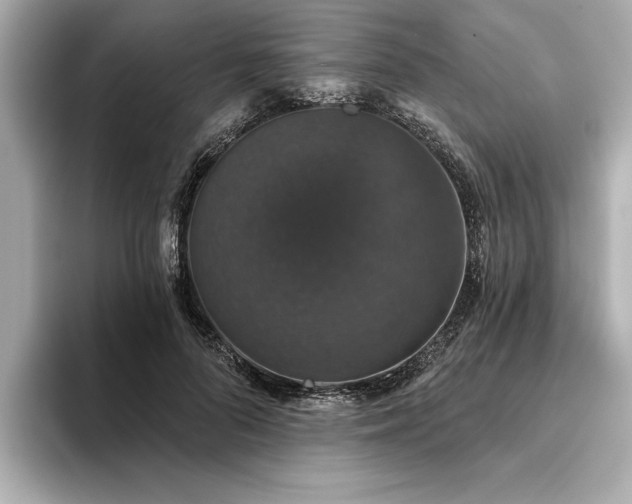 X0000093620696200710151301