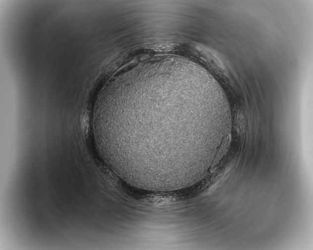 X0000093620697200710151301
