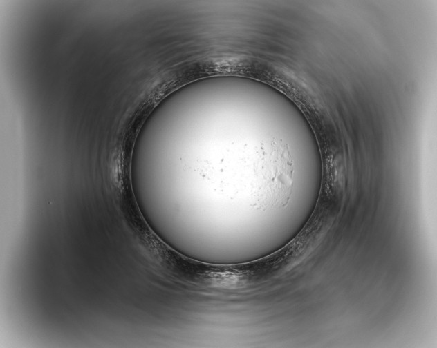 X0000093620698200710151301