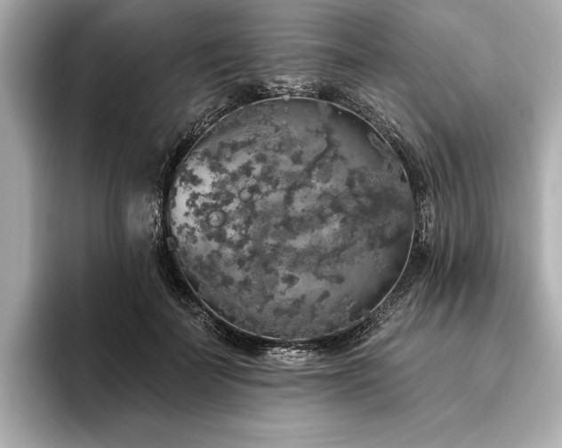 X0000093620699200710151301