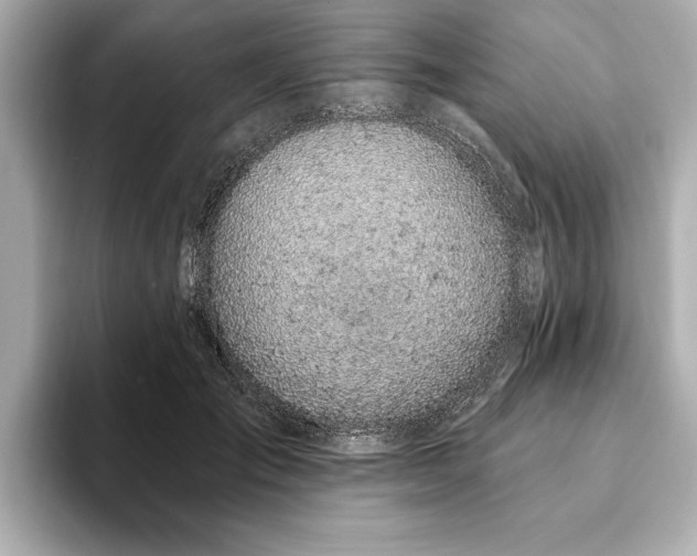 X0000093620701200710151301