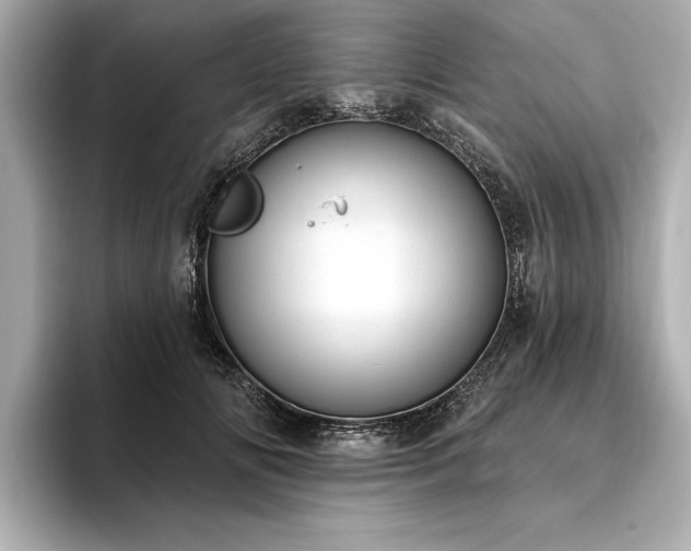 X0000093620702200710151301