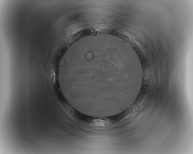 X0000093620703200710151301