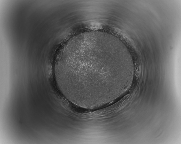 X0000093620704200710151301
