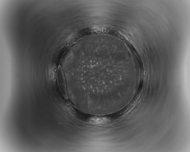 X0000093620712200710151301
