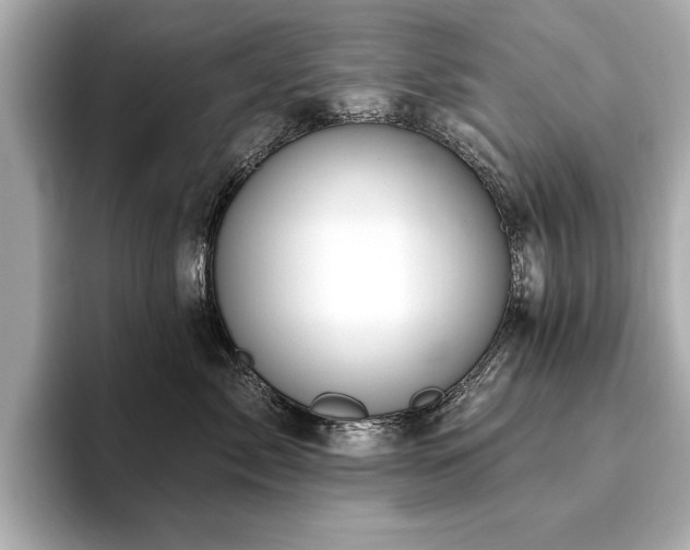 X0000093620717200710151301