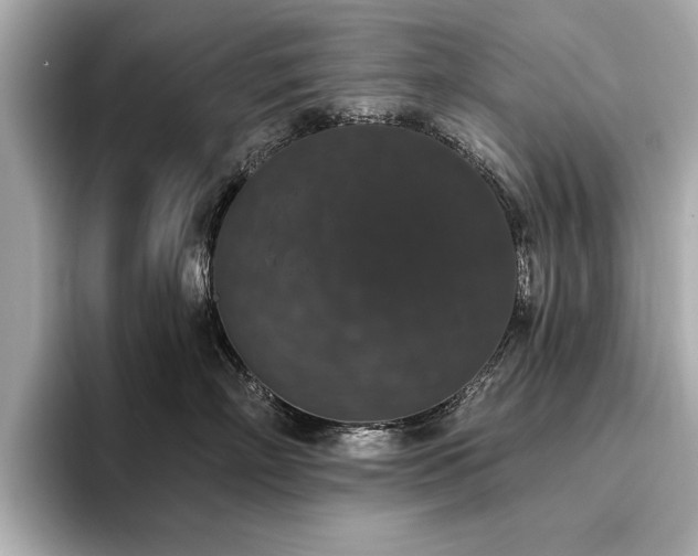 X0000093620718200710151301