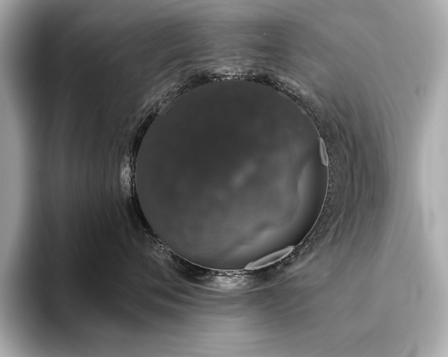 X0000093620720200710151301