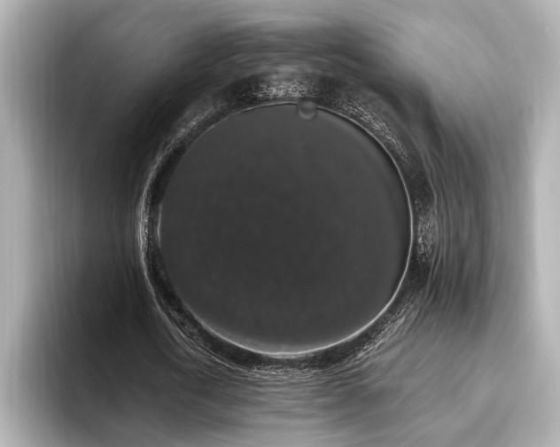 X0000093620722200710151300