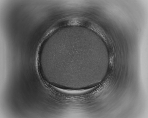 X0000093620724200710151300