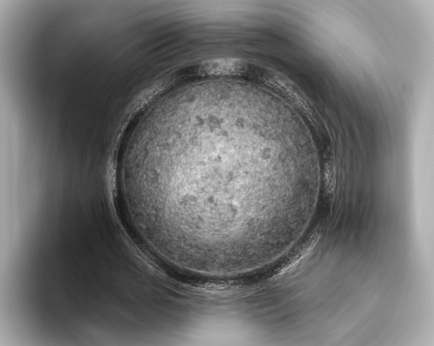 X0000093620725200710151300