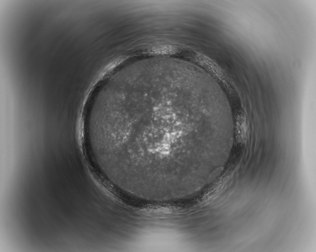 X0000093620726200710151300