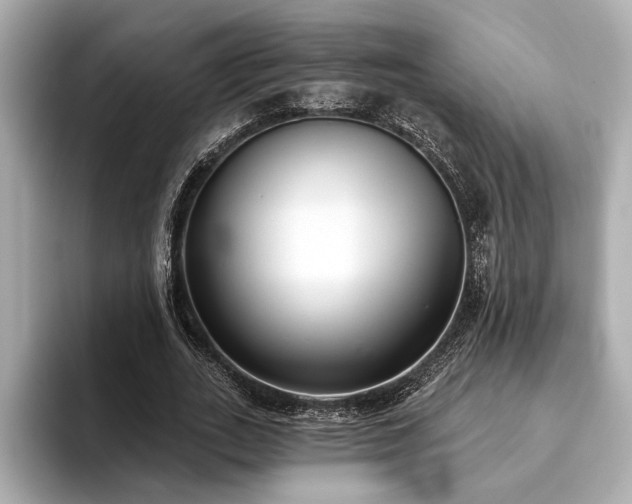 X0000093620727200710151300